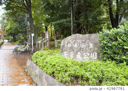 井荻森公園 井荻森公園 42967761