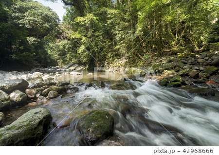 奥十曽渓谷の流れと緑の森 奥十曽渓谷の流れと緑の森 42968666