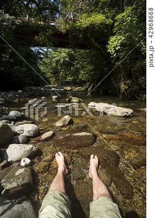 沢に入れた足 42968668