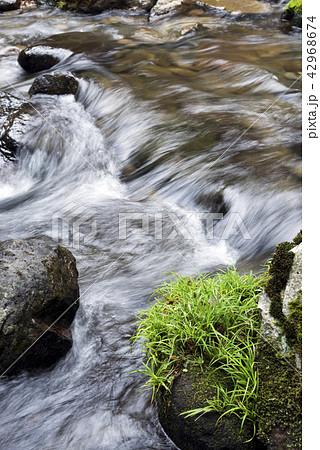 奥十曽渓谷の流れと草の生えた石 奥十曽渓谷の流れと草の生えた石 42968674