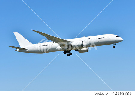着陸態勢の旅客機 42968739