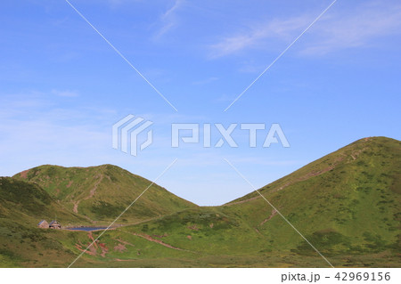 秋田駒ヶ岳　阿弥陀池　青空　8月 42969156