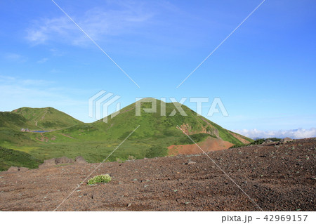 秋田駒ヶ岳　阿弥陀池　青空　8月 42969157