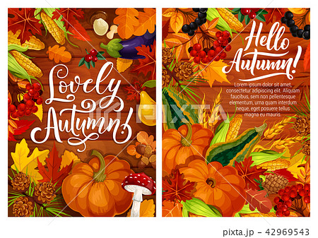 Hello autumn posters with harvest and fall leaves Hello autumn posters with harvest and fall leaves 42969543