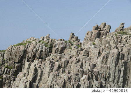 東尋坊の柱状節理 東尋坊の柱状節理 42969818