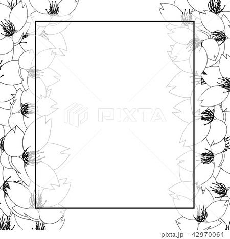 Sakura Cherry Blossom Outline Banner Card Border Sakura Cherry Blossom Outline Banner Card Border 42970064