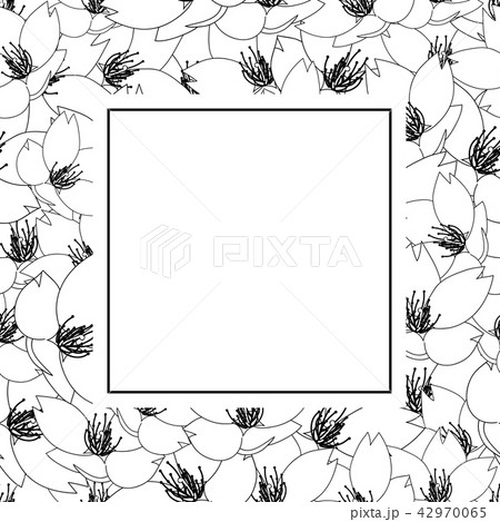 Sakura Cherry Blossom Outline Banner Card 42970065