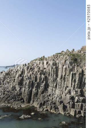 東尋坊の柱状節理 42970085
