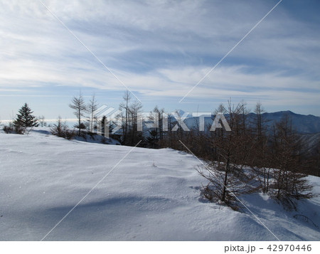 雪山 雪原 雪山 雪原 42970446