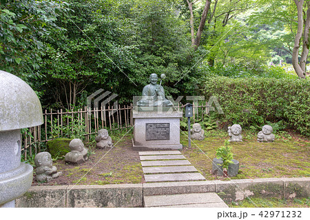 久安寺の紫陽花 久安寺の紫陽花 42971232