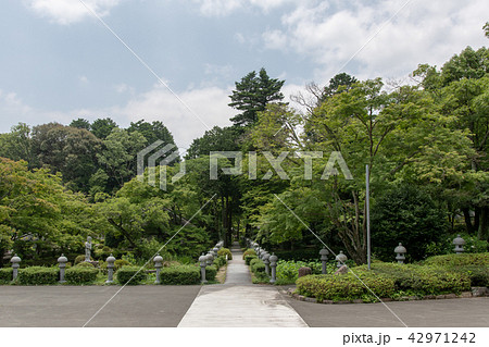 久安寺の紫陽花 久安寺の紫陽花 42971242