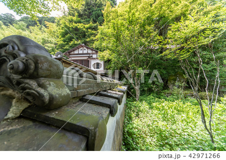 久安寺の紫陽花 久安寺の紫陽花 42971266