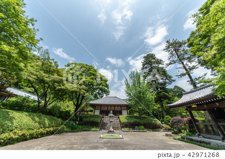 久安寺の紫陽花 久安寺の紫陽花 42971268