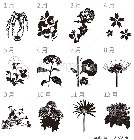 Seasonal Flowers 12 Species Silhouette Stock Illustration