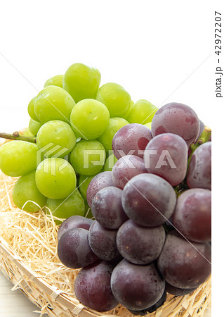 フルーツ　ぶどう　品種：シャインマスカットと巨峰 42972207