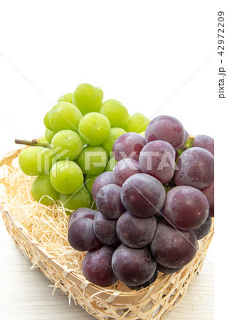 フルーツ　ぶどう　品種：シャインマスカットと巨峰 42972209