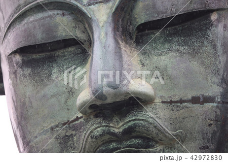 雨の鎌倉大仏 42972830