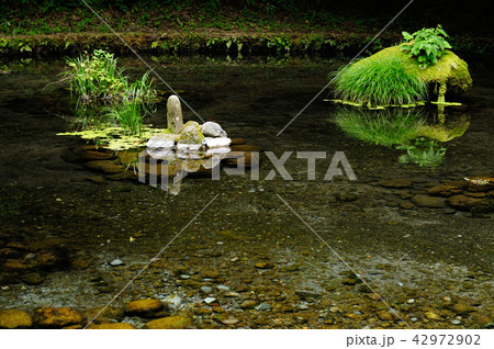 山吹水源 42972902