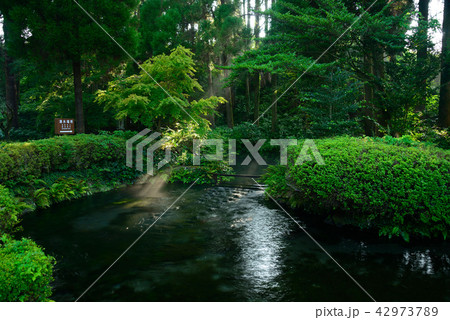 白川水源 白川水源 42973789