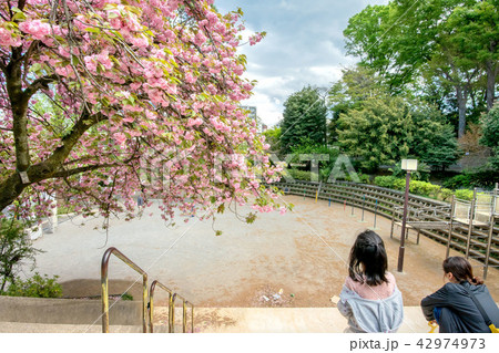 目黒区立不動公園 目黒区立不動公園 42974973