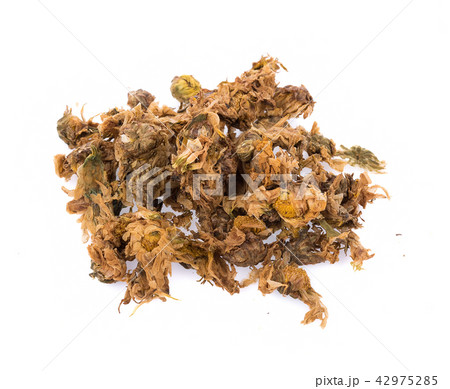 Dried chrysanthemum flowers isolated on white 42975285