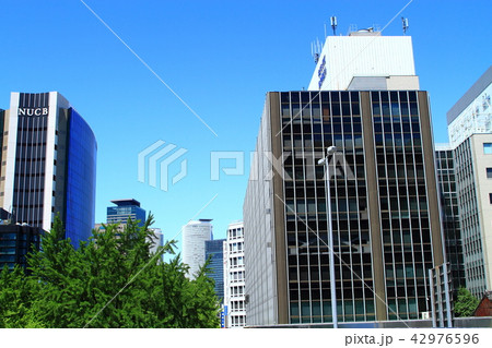 名古屋市 都市風景(丸の内) 名古屋市 都市風景(丸の内) 42976596