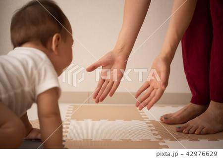 はいはい 42976629