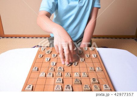 将棋をする子供 将棋をする子供 42977357