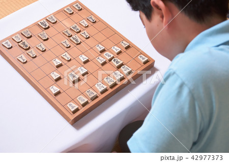 将棋をする子供 将棋をする子供 42977373
