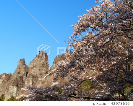 妙義山さくらの里 妙義山さくらの里 42978616