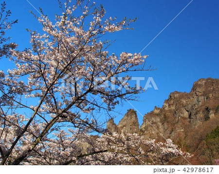 妙義山さくらの里 妙義山さくらの里 42978617