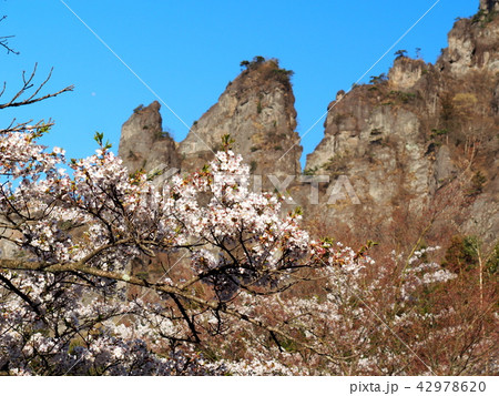 妙義山さくらの里 妙義山さくらの里 42978620