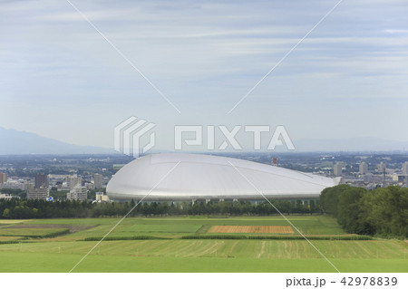 札幌ドーム　羊ケ丘展望台からの眺め 42978839
