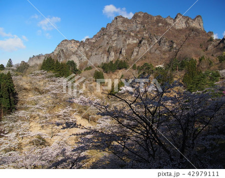 妙義山さくらの里 妙義山さくらの里 42979111