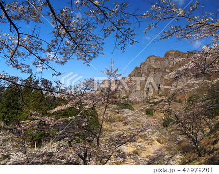 妙義山さくらの里 妙義山さくらの里 42979201
