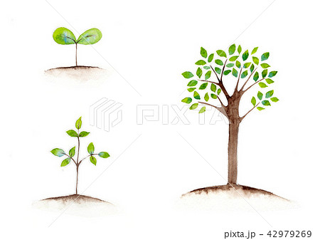Watercolor Illustration Of A Tree Growing From Stock Illustration