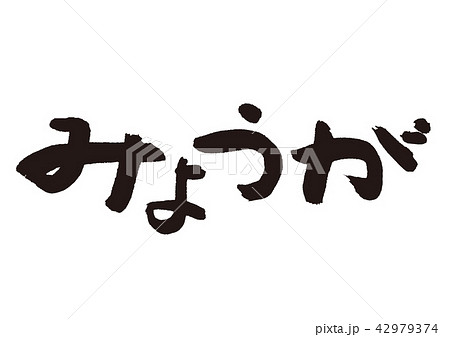 みょうが 筆文字 みょうが 筆文字 42979374