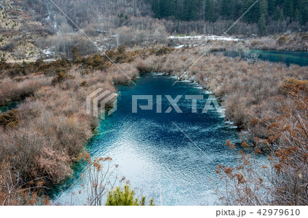 Forest by the lake Jiuzhaigou Forest by the lake Jiuzhaigou 42979610