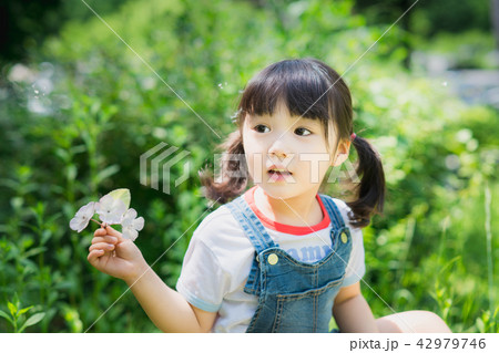 子供 韓国人 女性 42979746