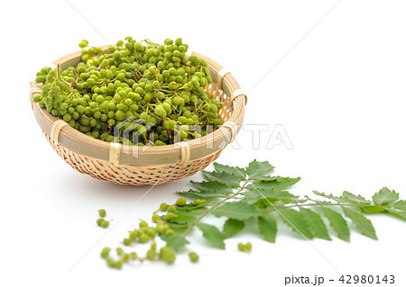 香辛料　山椒　実山椒 42980143