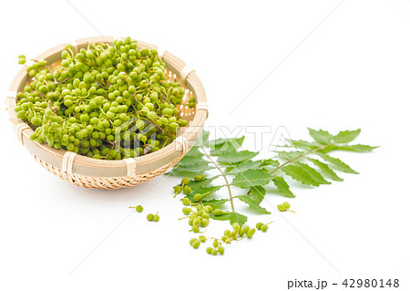 香辛料　山椒　実山椒 42980148