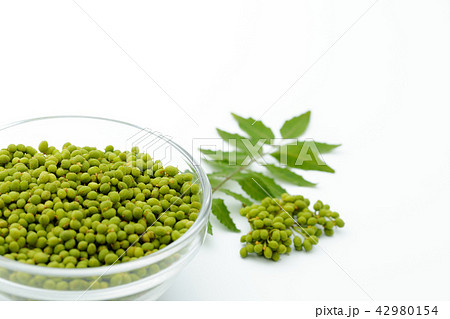 香辛料　山椒　実山椒 42980154