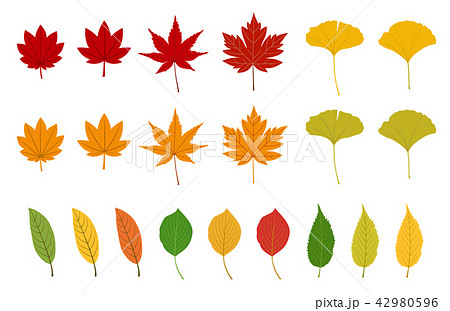 秋の紅葉イラストsetのイラスト素材