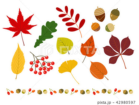 秋の紅葉と木ノ実setのイラスト素材