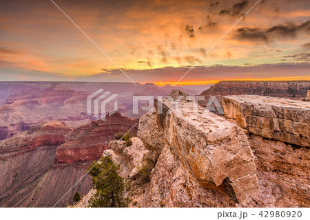 Grand Canyon, Arizona, USA  42980920