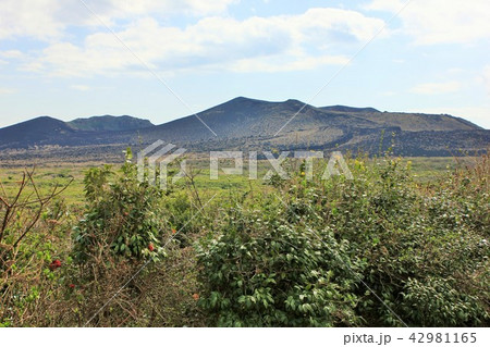 三原山　　・・・△△△山△△△・・・ 42981165