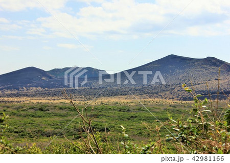 三原山　　・・・△△△山△△△・・・ 42981166