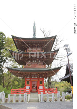 千葉県柏市　布施弁天　三重塔 42981436