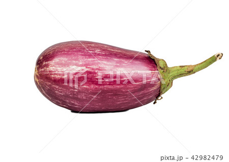 Fresh purple eggplant Fresh purple eggplant 42982479