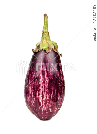 Fresh purple eggplant 42982485